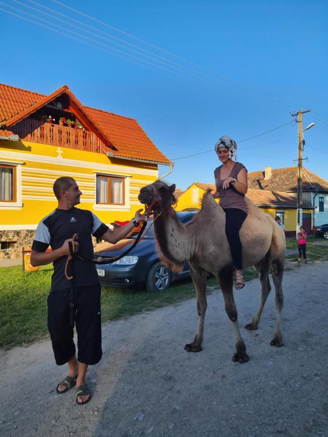 Casa De Vacanta Ziazian - Barcut Leilighet Eksteriør bilde