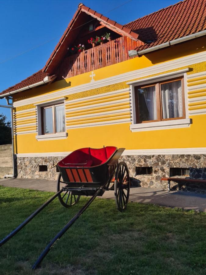 Casa De Vacanta Ziazian - Barcut Leilighet Eksteriør bilde